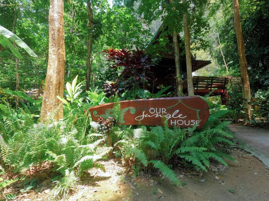 Our jungle house